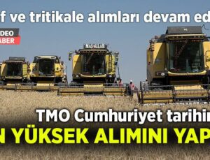 Tmo Sivas’Ta Cumhuriyet Tarihinin En Yüksek Alımını Yaptı