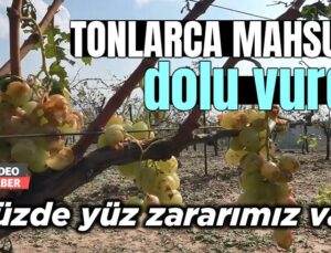 Tonlarca Mahsulü Dolu Vurdu: “Yüzde Yüz Zararımız Var!”