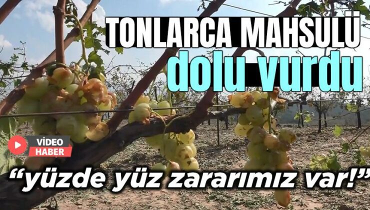 Tonlarca Mahsulü Dolu Vurdu: “Yüzde Yüz Zararımız Var!”