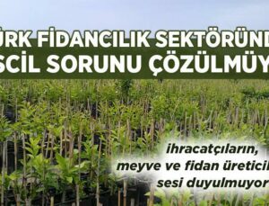 Türk Fidancılık Sektöründe Tescil Sorunu Çözülmüyor