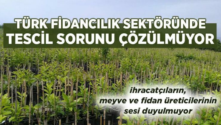 Türk Fidancılık Sektöründe Tescil Sorunu Çözülmüyor