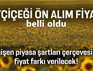 Ayçiçeği Ön Alım Fiyatı Belli Oldu