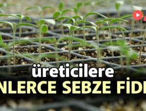 Üreticilere Binlerce Sebze Fidesi