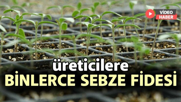 Üreticilere Binlerce Sebze Fidesi