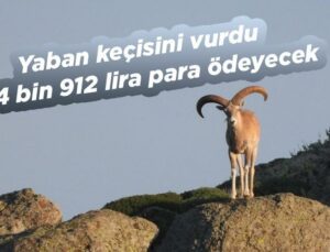 Yaban Keçisini Vurdu, 254 Bin 912 Lira Para Ödeyecek