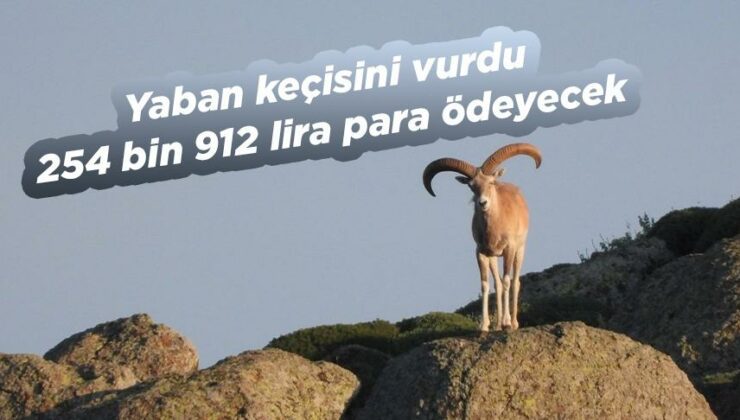 Yaban Keçisini Vurdu, 254 Bin 912 Lira Para Ödeyecek