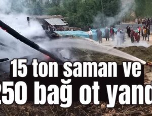 15 Ton Saman Ve 250 Bağ Ot Yandı