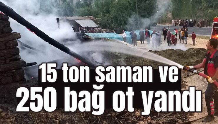 15 Ton Saman Ve 250 Bağ Ot Yandı