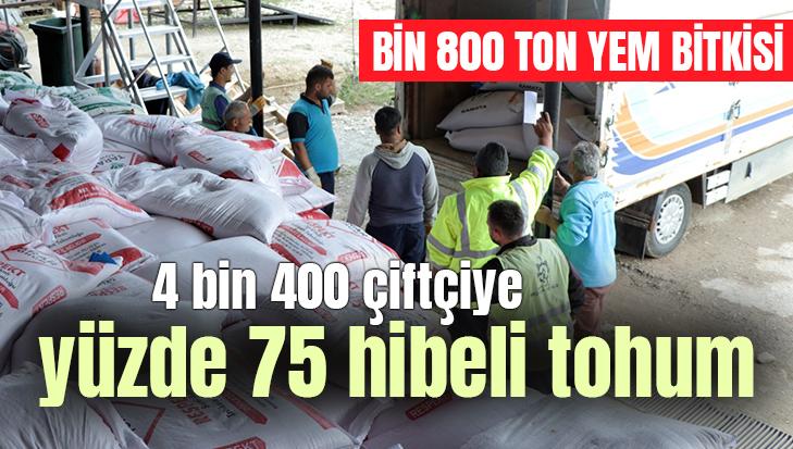 4 Bin 400 Çiftçiye Yüzde 75 Hibeli Tohum