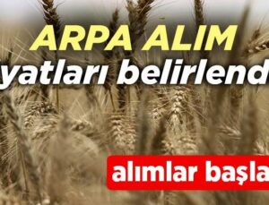 Arpa Alım Fiyatları Belirlendi! Alımlar Başladı!