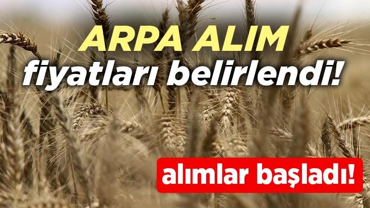 Arpa Alım Fiyatları Belirlendi! Alımlar Başladı!