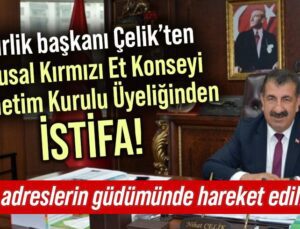 Birlik Başkanı Çelik’ten Ulusal Kırmızı Et Konseyi Denetim Kurulu Üyeliğinden İsti̇fa!