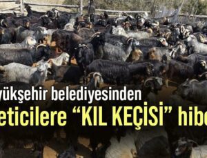 Büyükşehir Belediyesinden Üreticilere “Kıl Keçisi” Hibesi