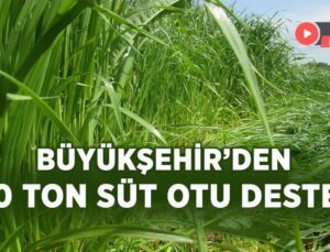 Büyükşehir’den 100 Ton Süt Otu Desteği