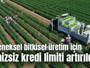 Geleneksel Bitkisel Üretim Için Faizsiz Kredi Limiti Artırıldı