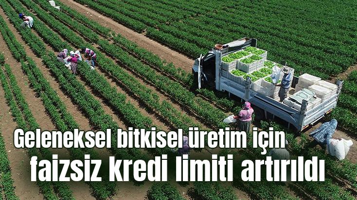 Geleneksel Bitkisel Üretim Için Faizsiz Kredi Limiti Artırıldı