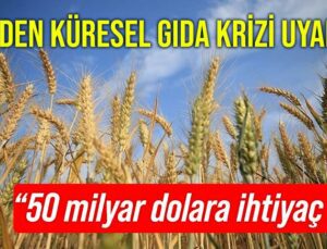 Imf’den Küresel Gıda Krizi Uyarısı!