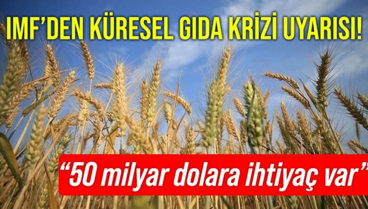 Imf’den Küresel Gıda Krizi Uyarısı!