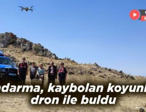 Jandarma, Kaybolan Koyunları Dron Ile Buldu