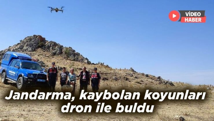 Jandarma, Kaybolan Koyunları Dron Ile Buldu