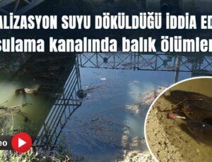 Kanalizasyon Suyu Döküldüğü Iddia Edilen Sulama Kanalında Balık Ölümleri