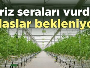 Kriz Seraları Vurdu, Iflaslar Bekleniyor