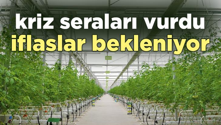 Kriz Seraları Vurdu, Iflaslar Bekleniyor