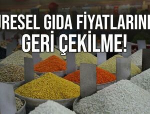 Küresel Gıda Fiyatlarında Geri Çekilme Sürüyor