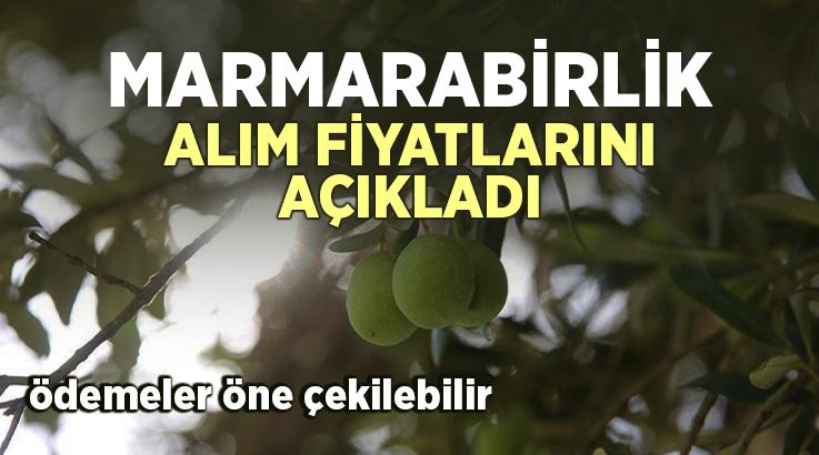 Marmarabirlik Alım Fiyatlarını Açıkladı