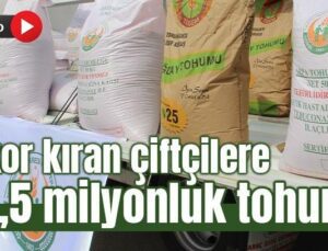 Rekor Kıran Çiftçilere 13,5 Milyonluk Tohum!