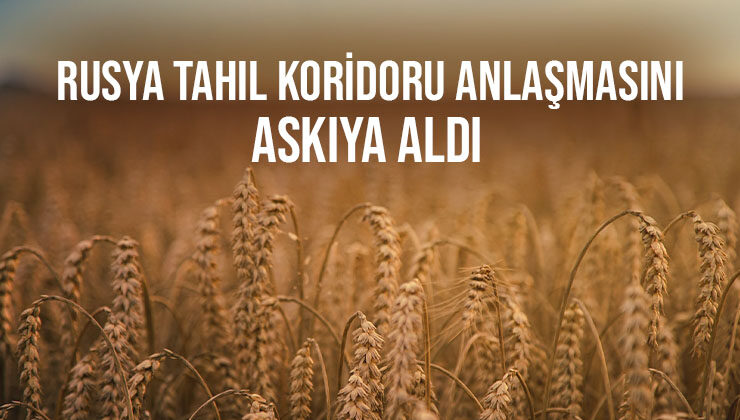 Rusya Tahıl Koridoru Anlaşmasını Askıya Aldı