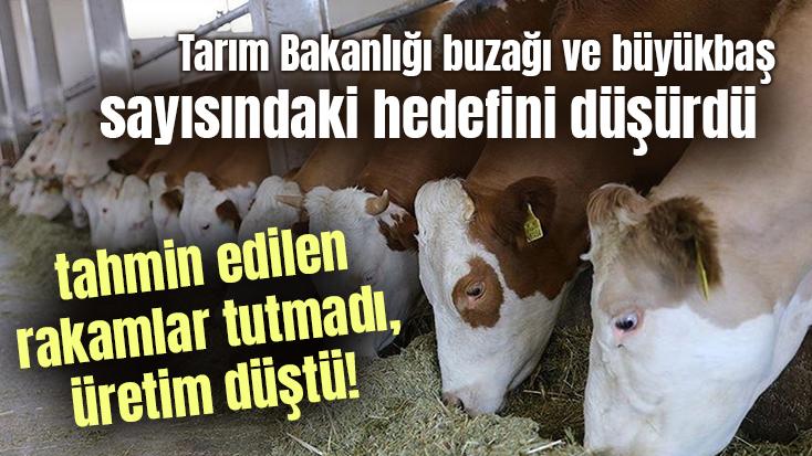 Tarım Bakanlığı Buzağı Ve Büyükbaş Sayısındaki Hedefini Düşürdü