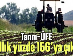 Tarım-Üfe Yıllık Yüzde 156’Ya Çıktı