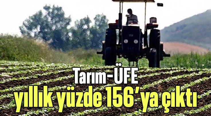 Tarım-Üfe Yıllık Yüzde 156’Ya Çıktı