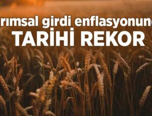 Tarımsal Girdi Enflasyonunda Tarihi Rekor