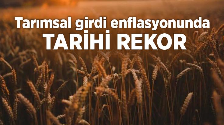 Tarımsal Girdi Enflasyonunda Tarihi Rekor