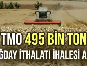 Tmo 495 Bin Ton Buğday Ithalatı Ihalesi Açtı