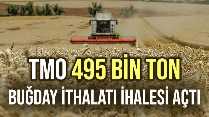 Tmo 495 Bin Ton Buğday Ithalatı Ihalesi Açtı