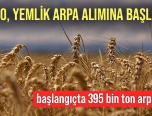 Tmo, Yemlik Arpa Alımına Başladı