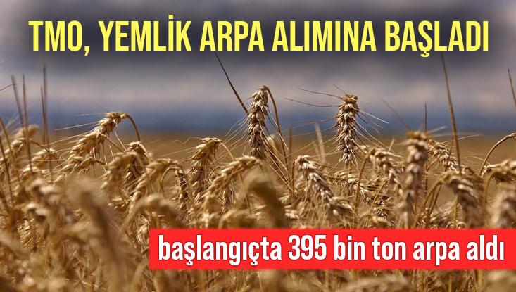 Tmo, Yemlik Arpa Alımına Başladı