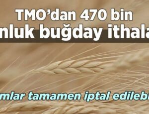 Tmo’dan 470 Bin Tonluk Buğday Ithalatı