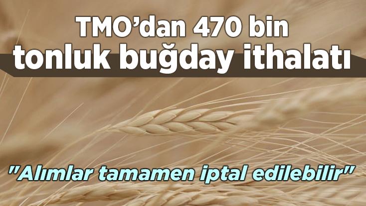 Tmo’dan 470 Bin Tonluk Buğday Ithalatı
