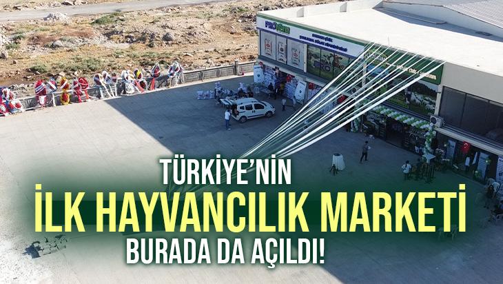 Türkiye’nin Ilk Hayvancılık Marketi Burada Da Açıldı!