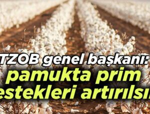 Tzob Genel Başkanı: Pamukta Prim Destekleri Artırılsın!