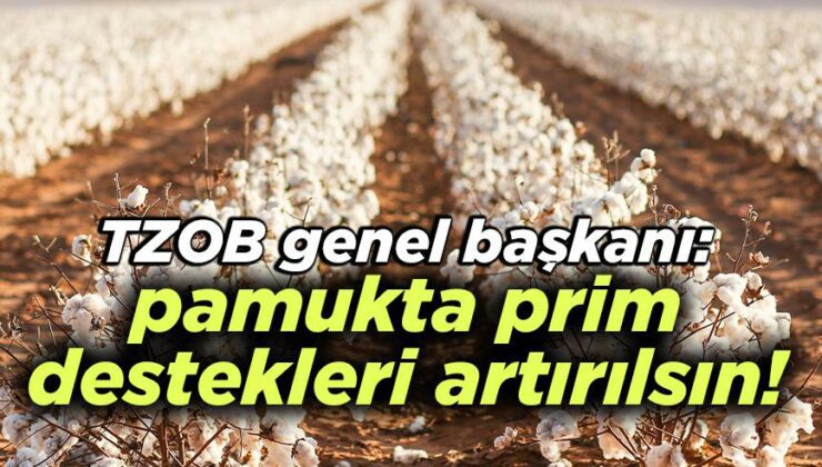 Tzob Genel Başkanı: Pamukta Prim Destekleri Artırılsın!