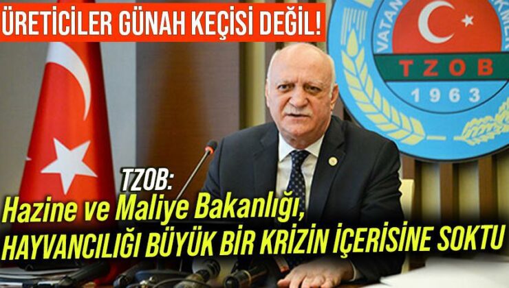 Tzob: Hazine Ve Maliye Bakanlığı, Hayvancılığı Büyük Bir Krizin Içerisine Soktu