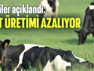 Veriler Açıklandı: Süt Üretimi Azalıyor