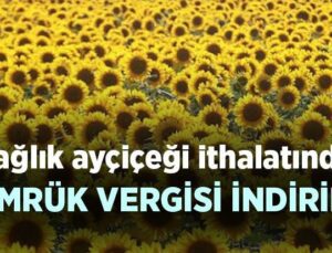 Yağlık Ayçiçeği Ithalatında Gümrük Vergisi Indirildi