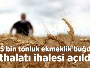 455 Bin Tonluk Ekmeklik Buğday Ithalatı Ihalesi Açıldı