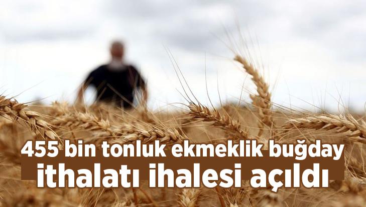 455 Bin Tonluk Ekmeklik Buğday Ithalatı Ihalesi Açıldı